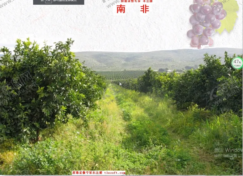 编号：18619512102344472782【酷图网】源文件下载-果树脐橙