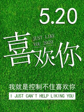 520海报