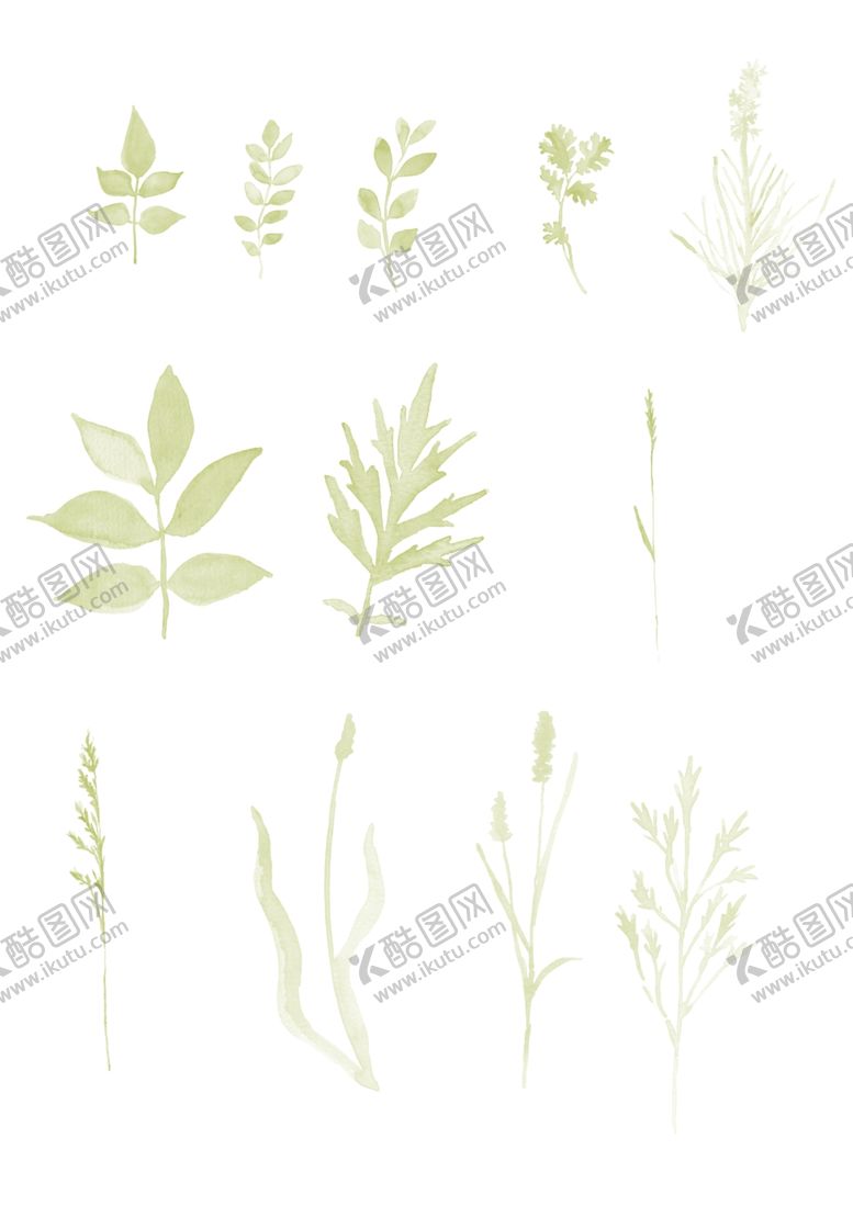 编号：44065907011427293580【酷图网】源文件下载-水彩效果植物
