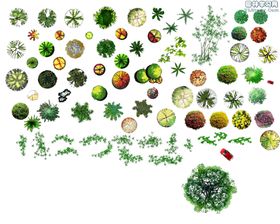 绿色植物竹栏杆装饰画边框
