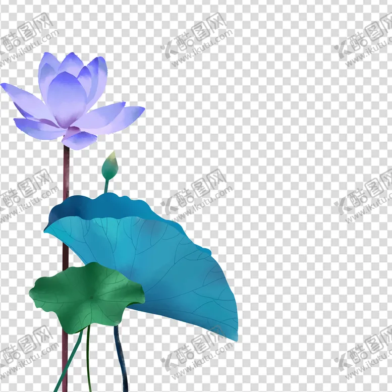 编号：20167309141409446947【酷图网】源文件下载-荷花 莲花