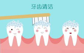 清洁护理专家