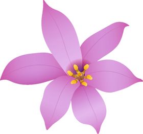 写实花卉插画植物漂亮