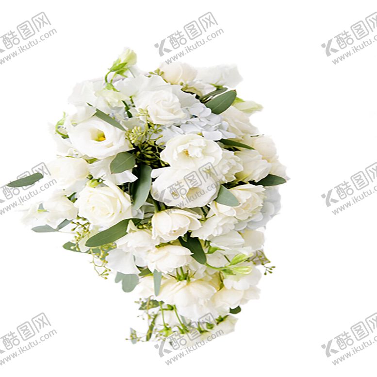 编号：40203210172357323046【酷图网】源文件下载-手绘植物花卉