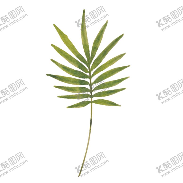 编号：77850009122149207882【酷图网】源文件下载-绿色水彩植物树叶