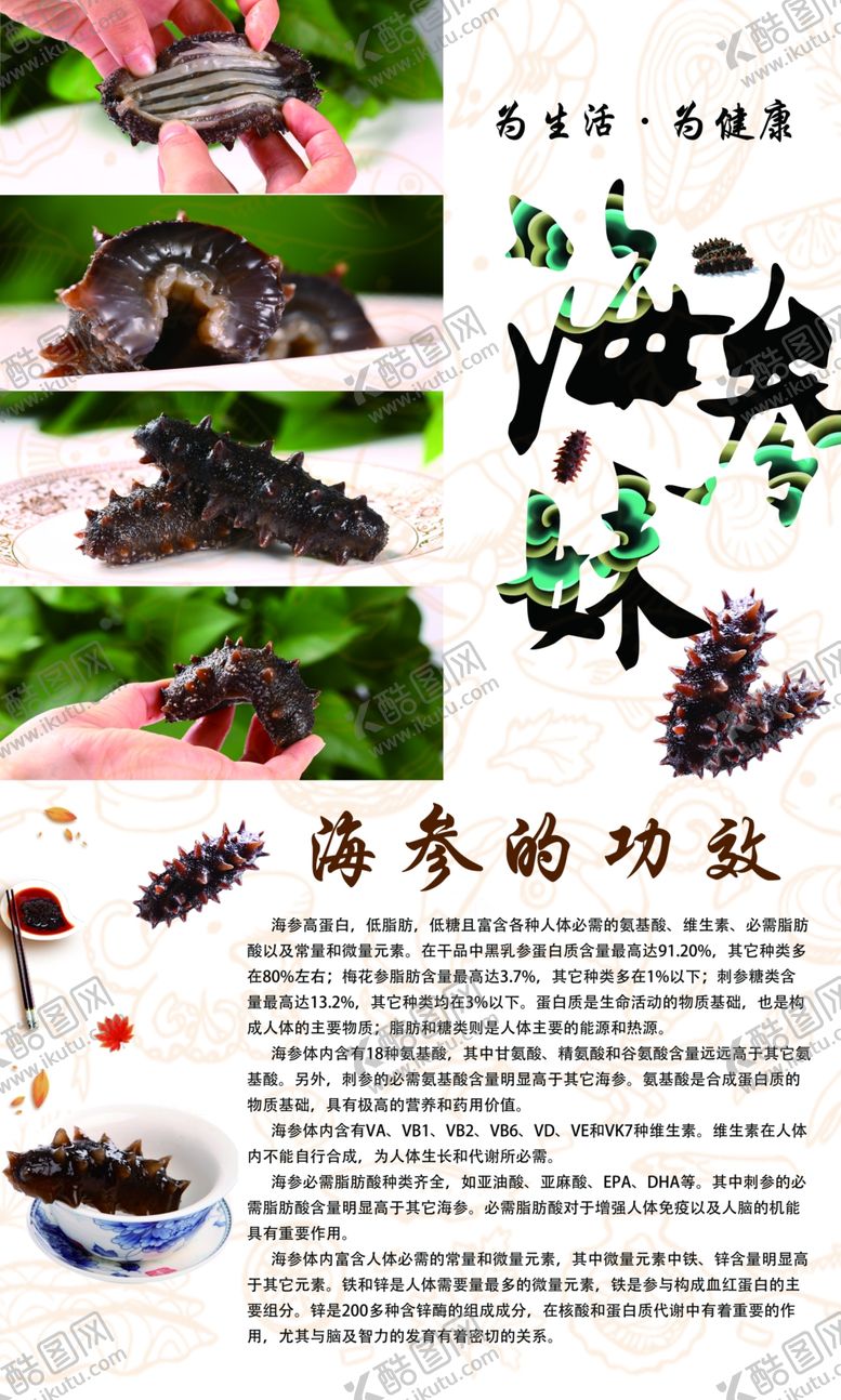 编号：99770110301201439205【酷图网】源文件下载-海参