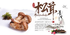 野菌山珍食材养生海报