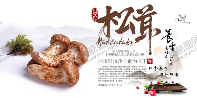 编号：41925907042354293095【酷图网】源文件下载-野菌山珍食材养生海报