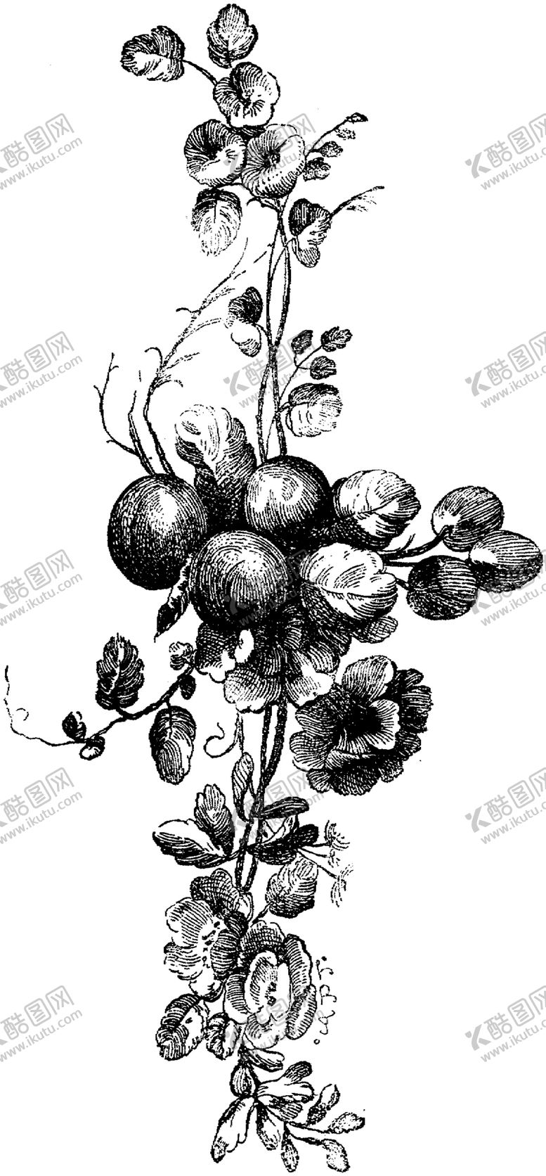 编号：15625805160530401917【酷图网】源文件下载-花纹边框