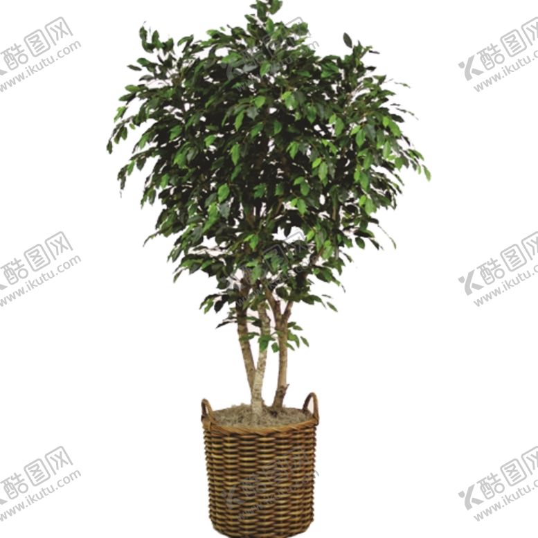 编号：69236410021304571423【酷图网】源文件下载-免抠背景花草树木