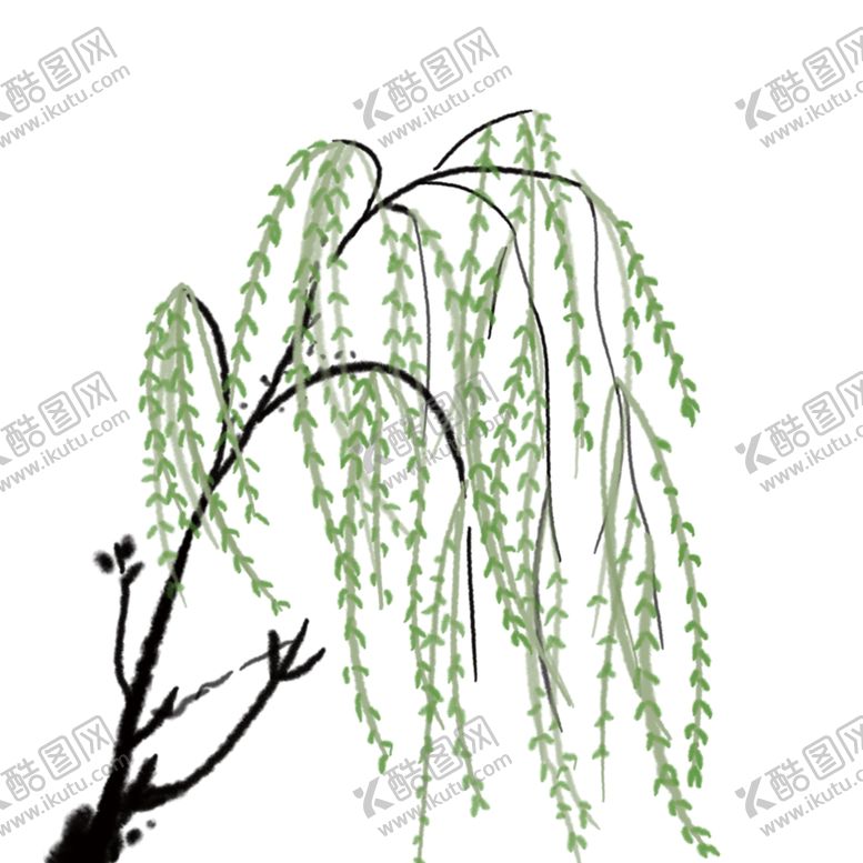 编号：85822609180608584755【酷图网】源文件下载-手绘杨柳元素