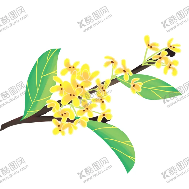 编号：11951002091336003326【酷图网】源文件下载-手绘桂花png免抠素材