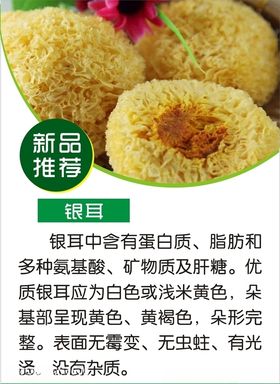 银耳简介