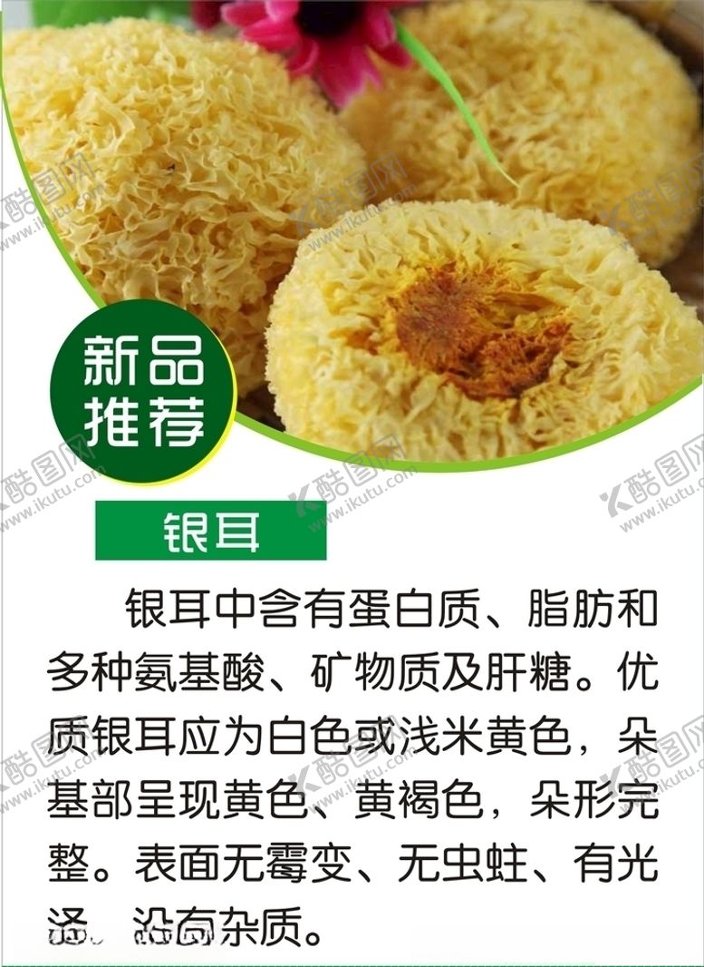 编号：89460109250509527923【酷图网】源文件下载-银耳简介