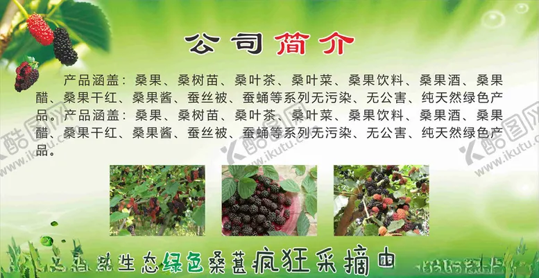 编号：37527503131422469275【酷图网】源文件下载-桑葚文化展板