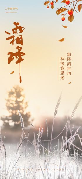 霜降芦苇海报