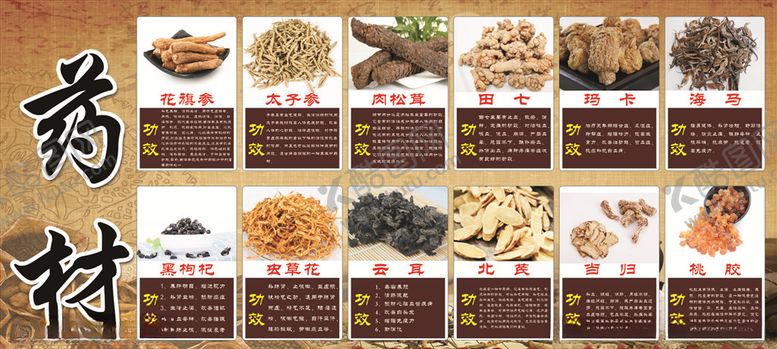 编号：45888805180220366821【酷图网】源文件下载-药材功效