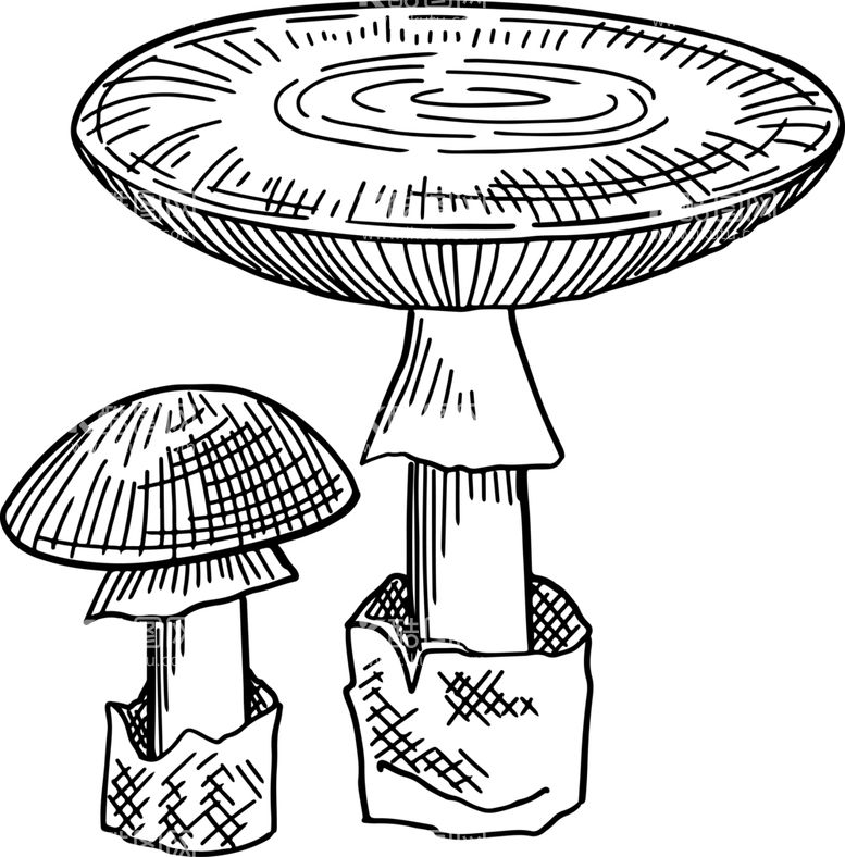 编号：93148902041403167262【酷图网】源文件下载-蘑菇