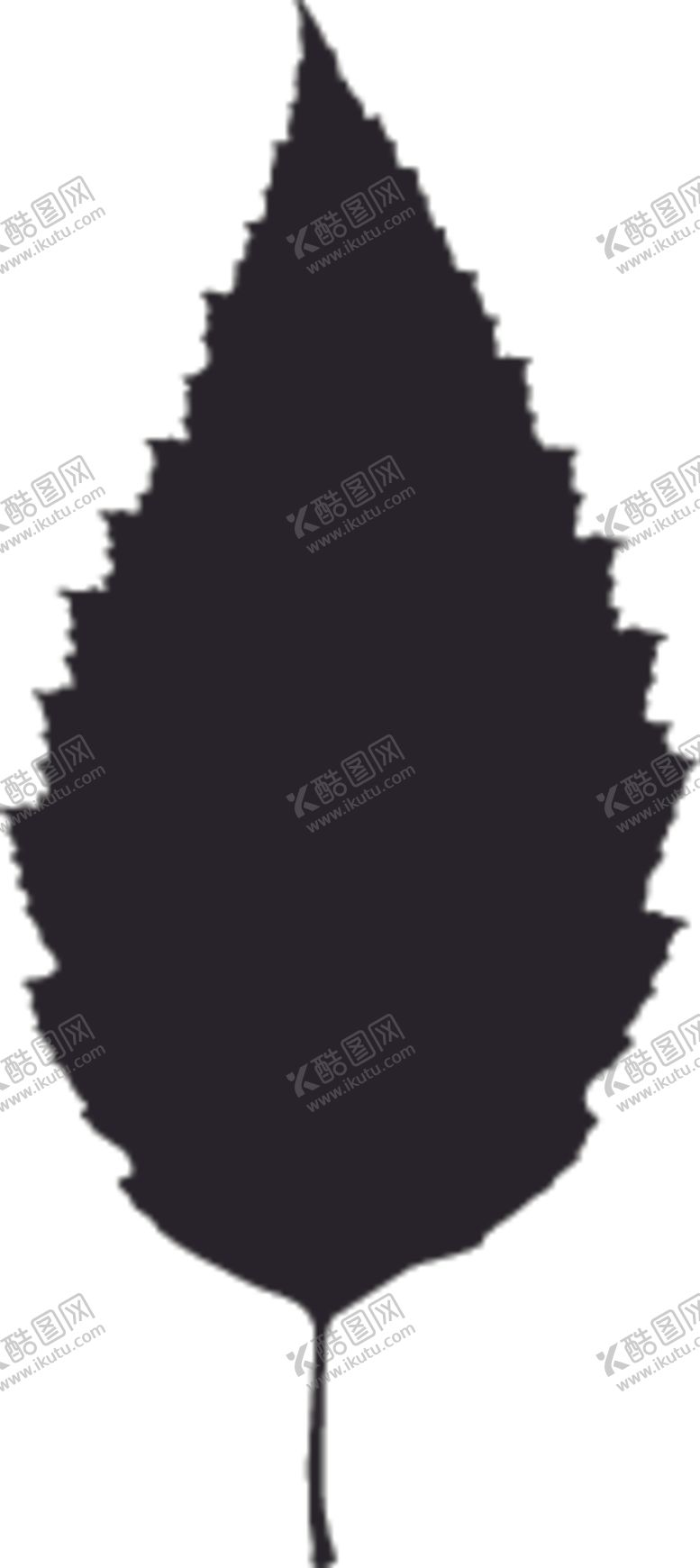 编号：53662607140353169039【酷图网】源文件下载-植物系列树叶