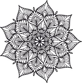 曼陀罗花纹