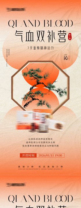 气血养生宣传海报