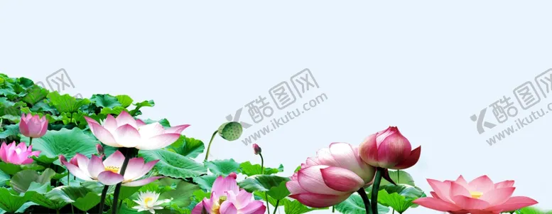 编号：52150407010312377290【酷图网】源文件下载-水墨荷花