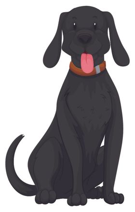 狗DOG动物卡通