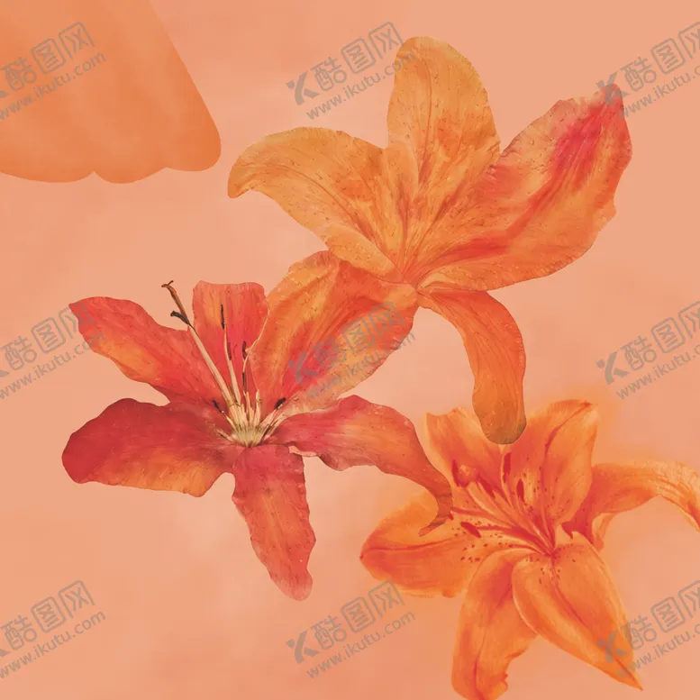 编号：34348202280311522004【酷图网】源文件下载-水彩花