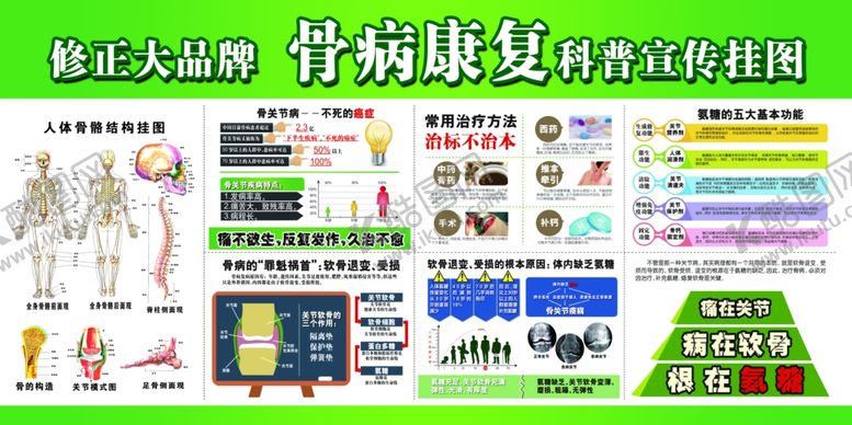 编号：96299903310909494427【酷图网】源文件下载-骨病康复