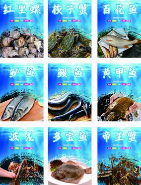 水产海鲜海报灯箱