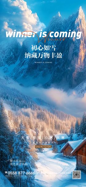 小寒大寒大雪冬至节气海报