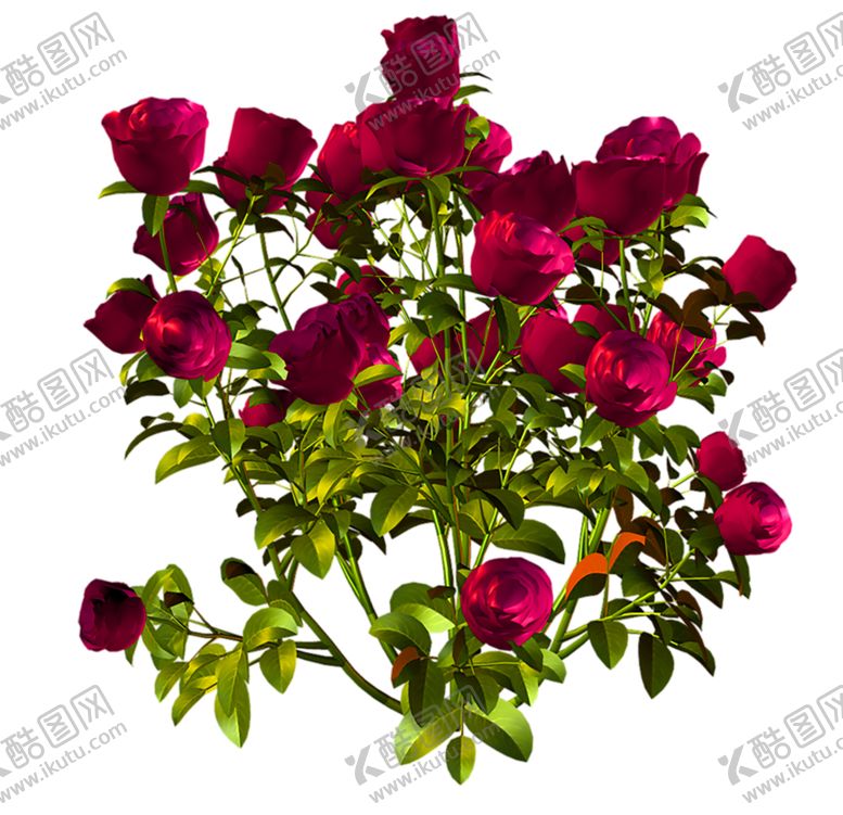 编号：55130606281700221663【酷图网】源文件下载-鲜花装饰