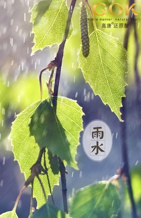 微商节气海报