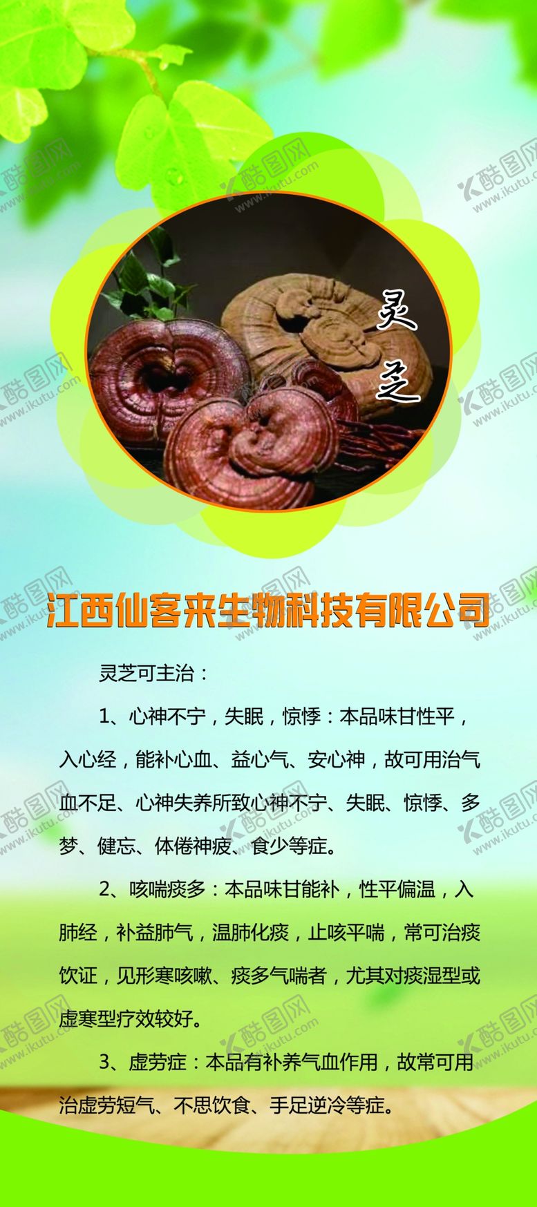 编号：50248504161129175462【酷图网】源文件下载-灵芝功效