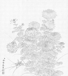 余稚的花鸟图白描工笔画底稿03