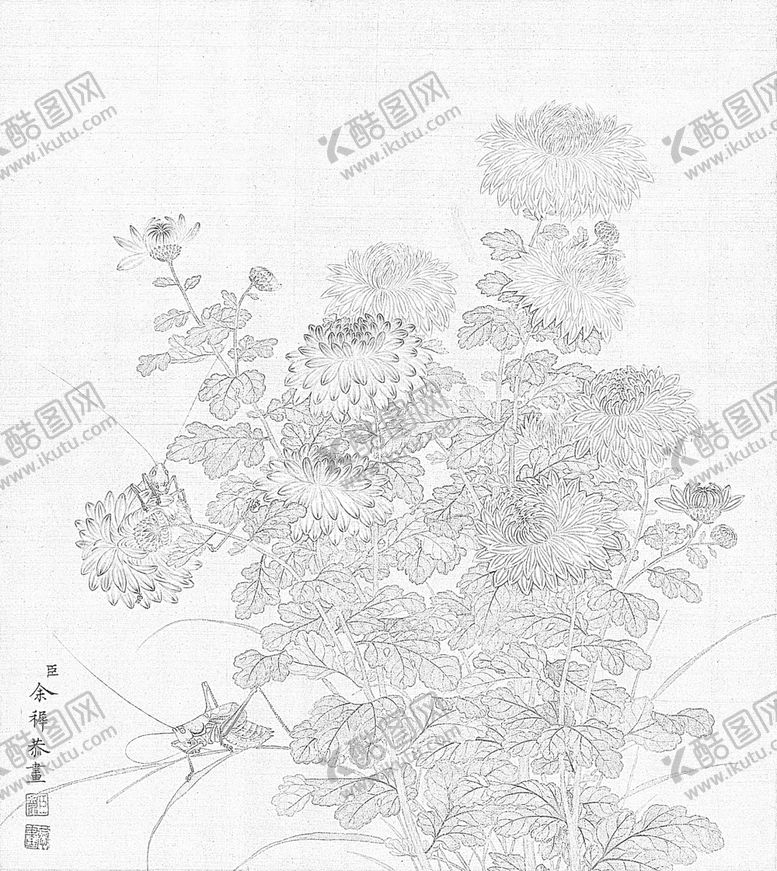 编号：35813009281351179607【酷图网】源文件下载-余稚的花鸟图白描工笔画底稿03