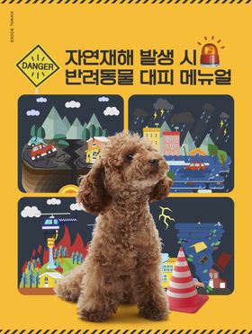 创意动物合成图片