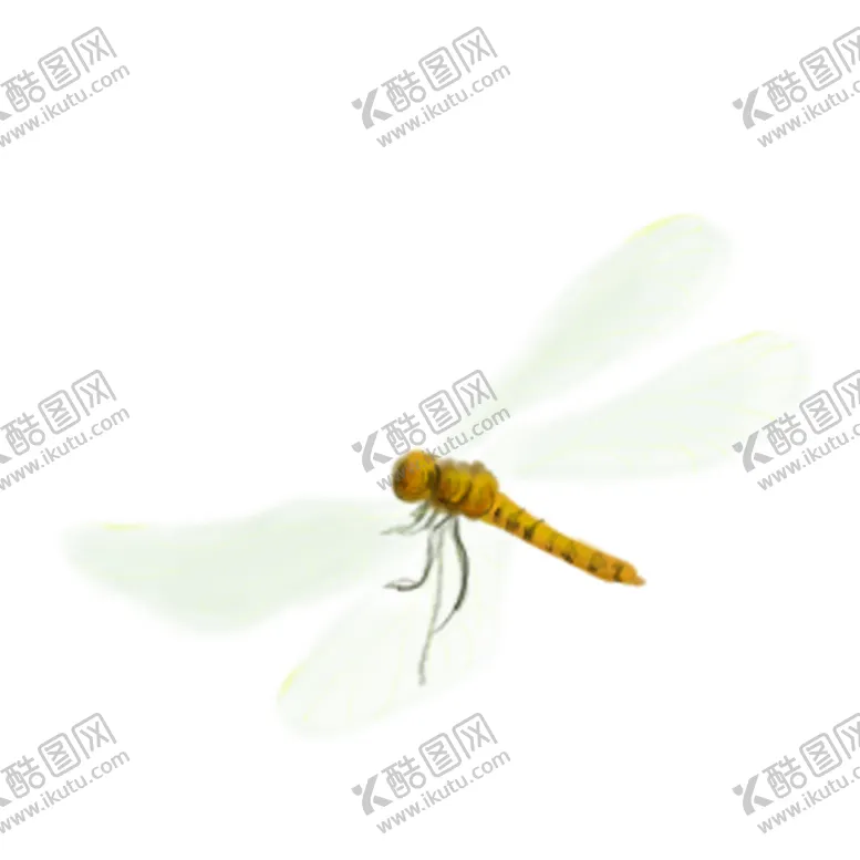 编号：30001304200348281534【酷图网】源文件下载-蜻蜓