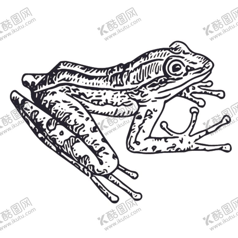 编号：99066110220736366012【酷图网】源文件下载-爬行动物线稿绘画图案