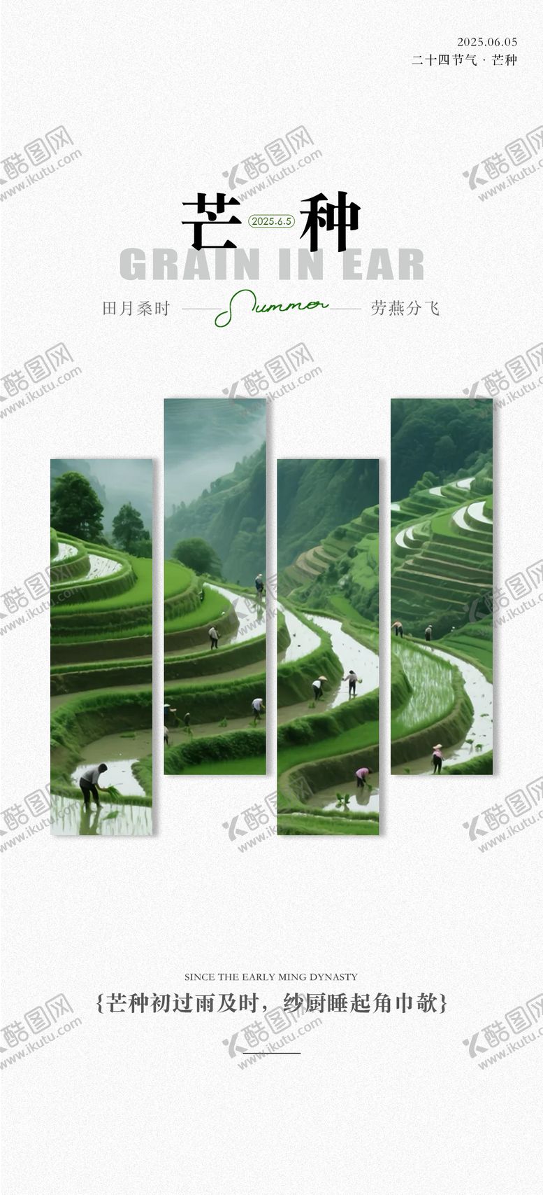 编号：45655106151852377407【酷图网】源文件下载-芒种节气海报