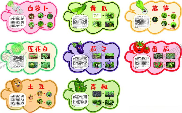 编号：72785804011810374694【酷图网】源文件下载-异形蔬菜介绍牌