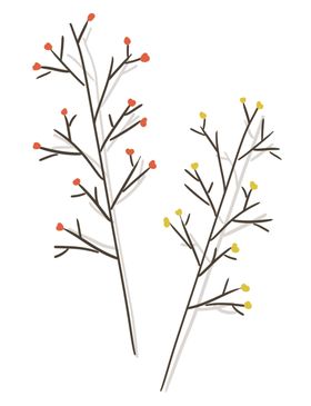 免抠背景干花枯花