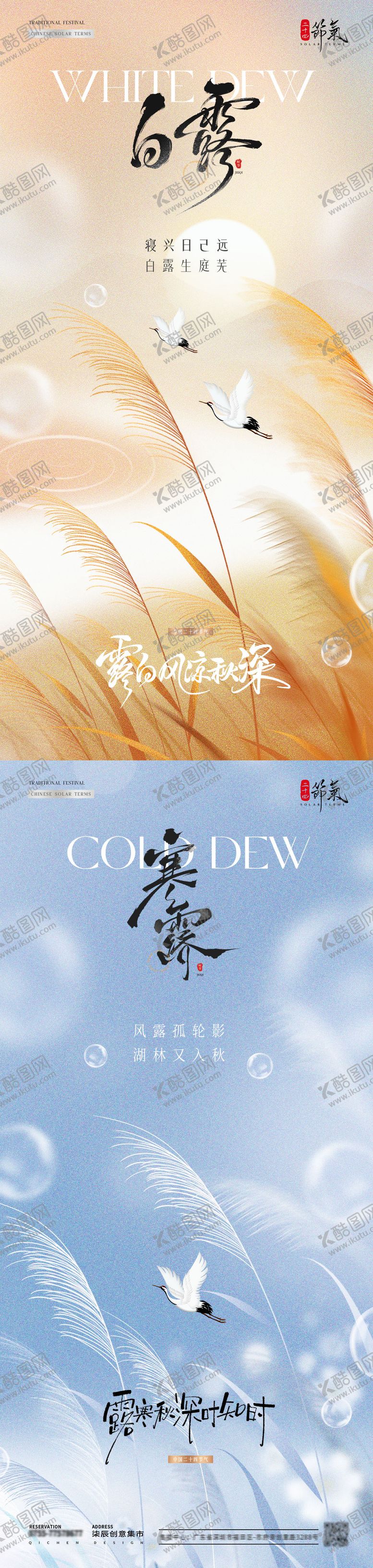 编号：87792009080651435714【酷图网】源文件下载-地产白露寒露芦苇风景海报