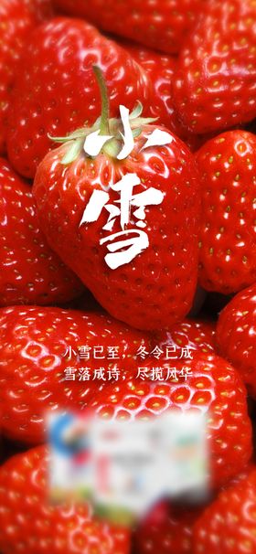 小雪海报立冬下霜降