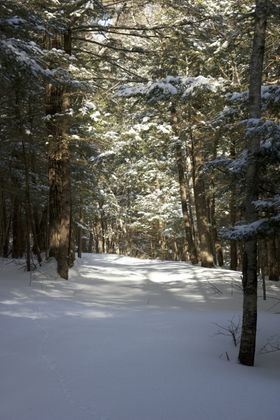 雪山图片