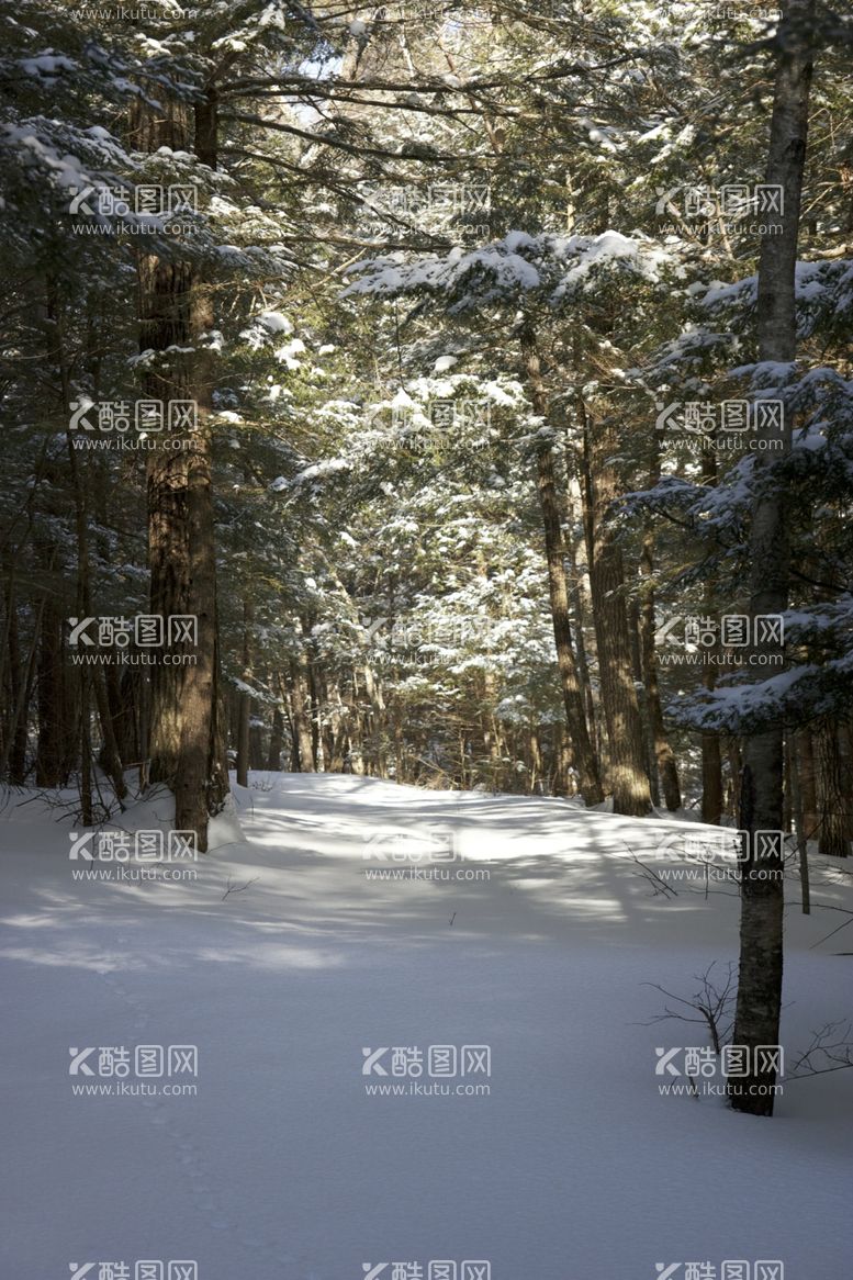 编号：79982112302034104651【酷图网】源文件下载-雪山图片