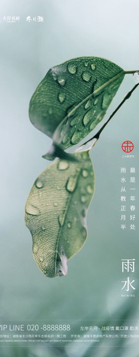 二十四节气雨水地产海报