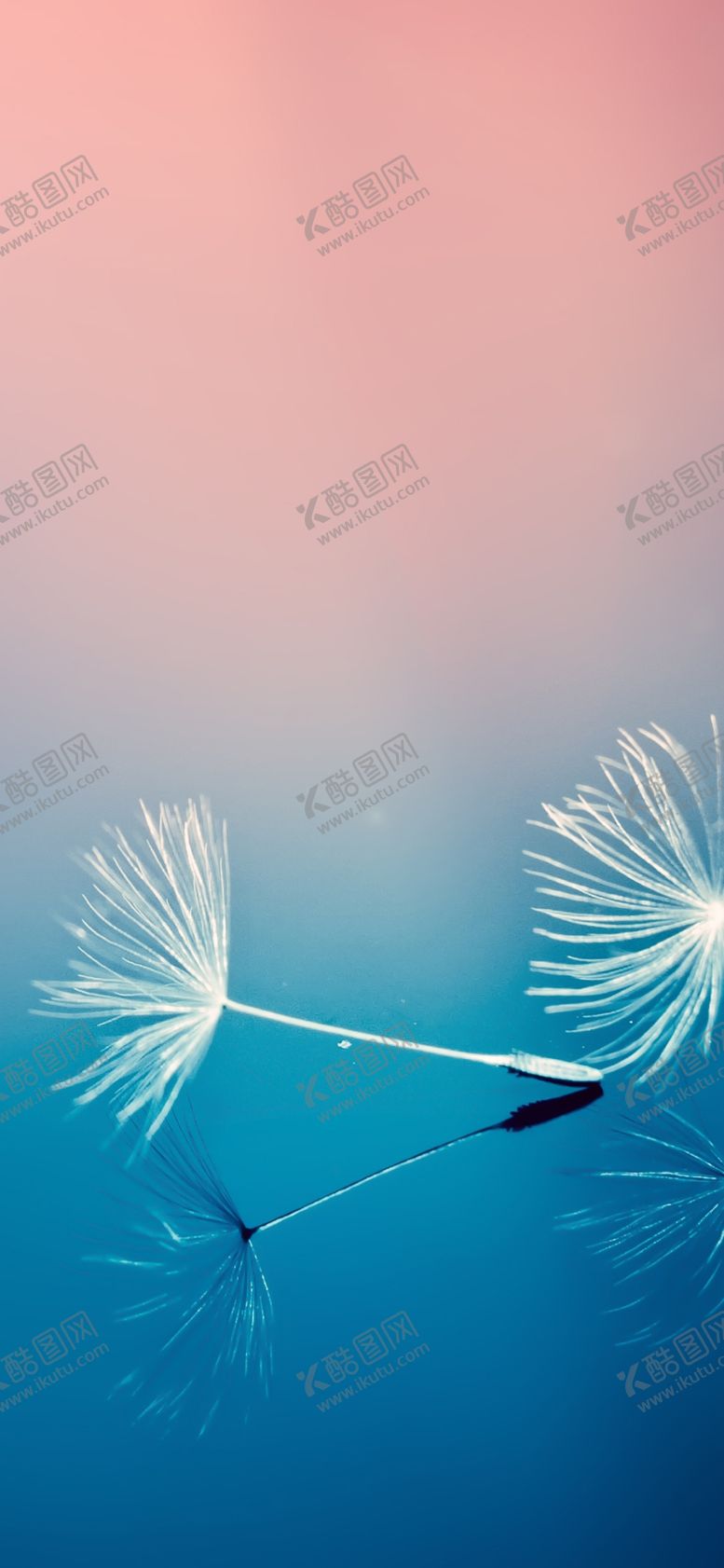 编号：79012207030323485916【酷图网】源文件下载-手机壁纸