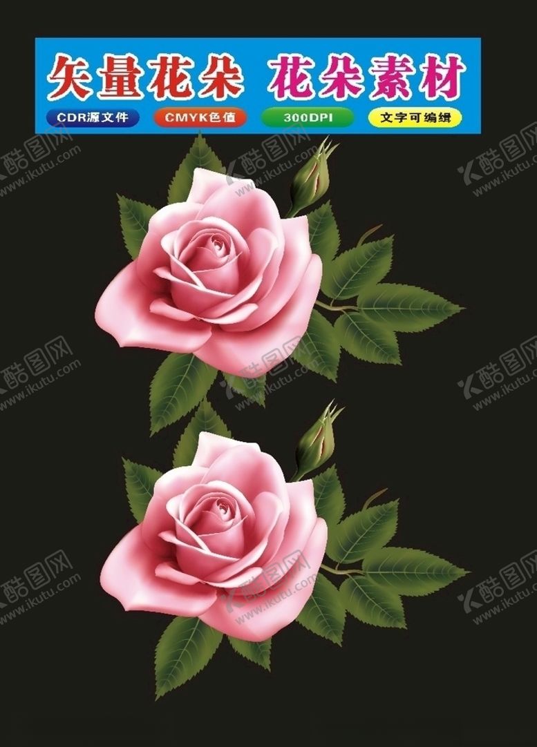 编号：59829009191830505432【酷图网】源文件下载-植物月季花花朵