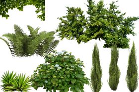花园绿植效果图免扣